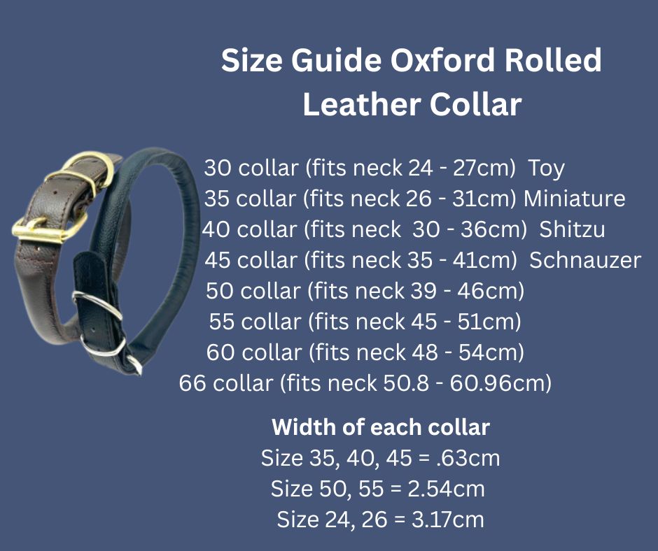 Angel Oxford Rolled Leather Dog Collar Brown