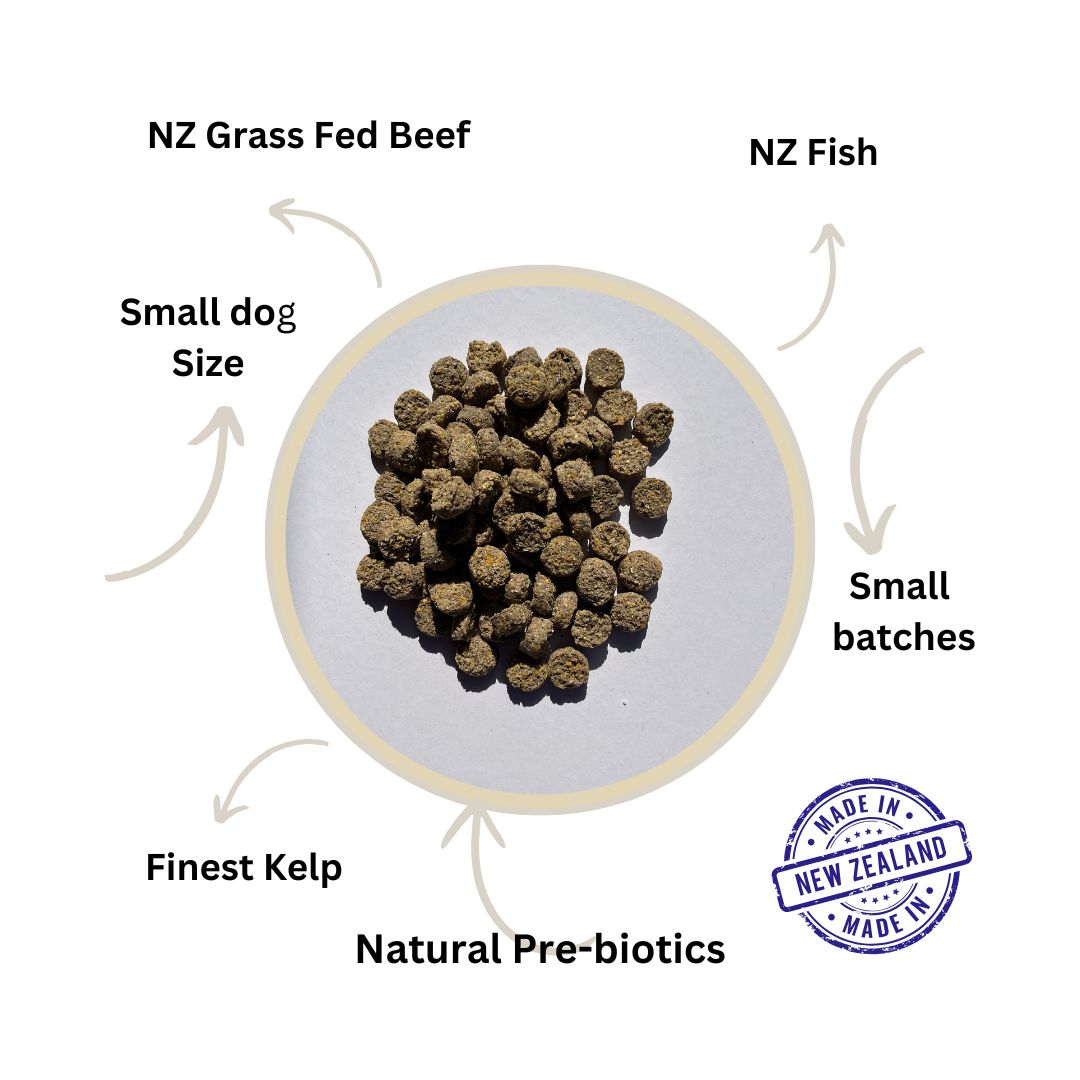 Louis and Phoebe Grass Fed Beef Adult Dog Food Small Buttons