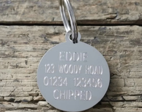 dog tag schnauzer