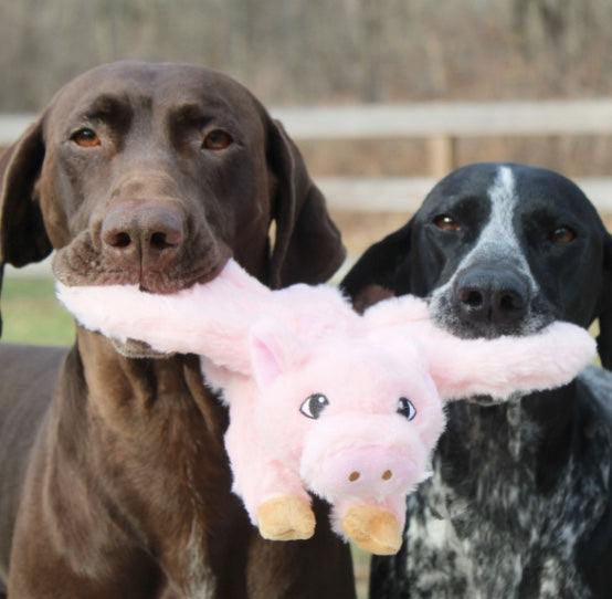 Two holds holding the Tall Tails Flying pig dog toy
