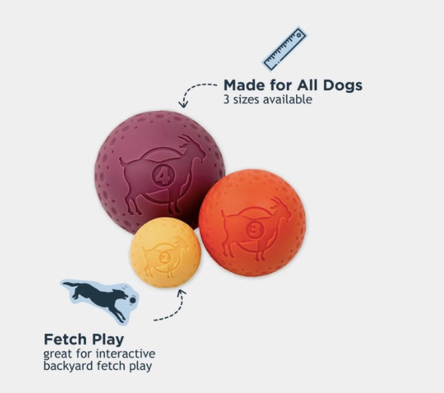 Fetch dog balls