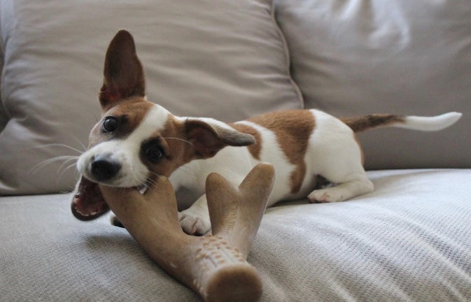 Ideal for aggressive chewers