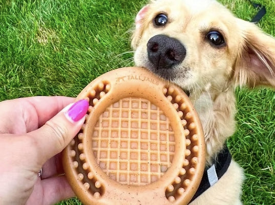 Dog loving its Wiggle Waffle dog toy