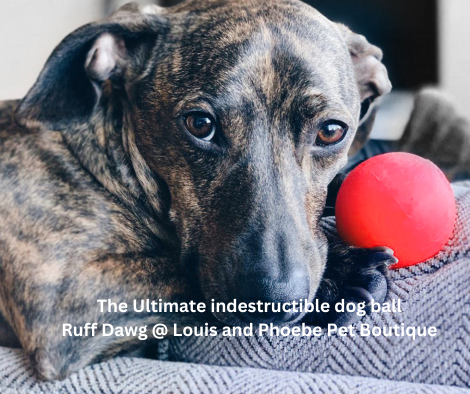 Dogs just love these balls.