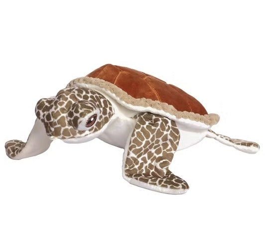 Soft and cuddly Turtle dog toy
