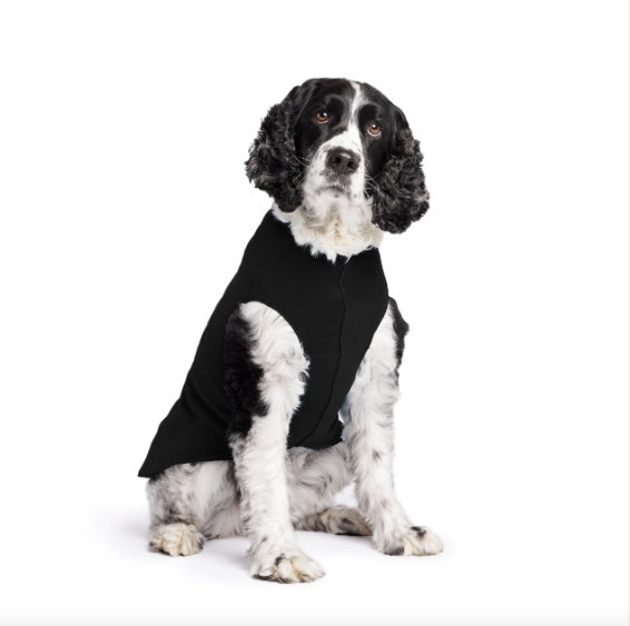 Spaniel wearing the Goldpaw Fleece dog coat black.