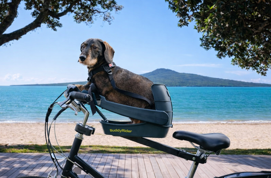Why the Buddyrider Bike Pet Seat is the safest