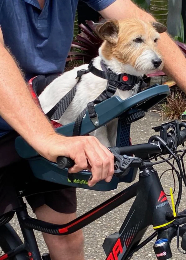 Budyrider Pet Bike Seat For Dogs NZ