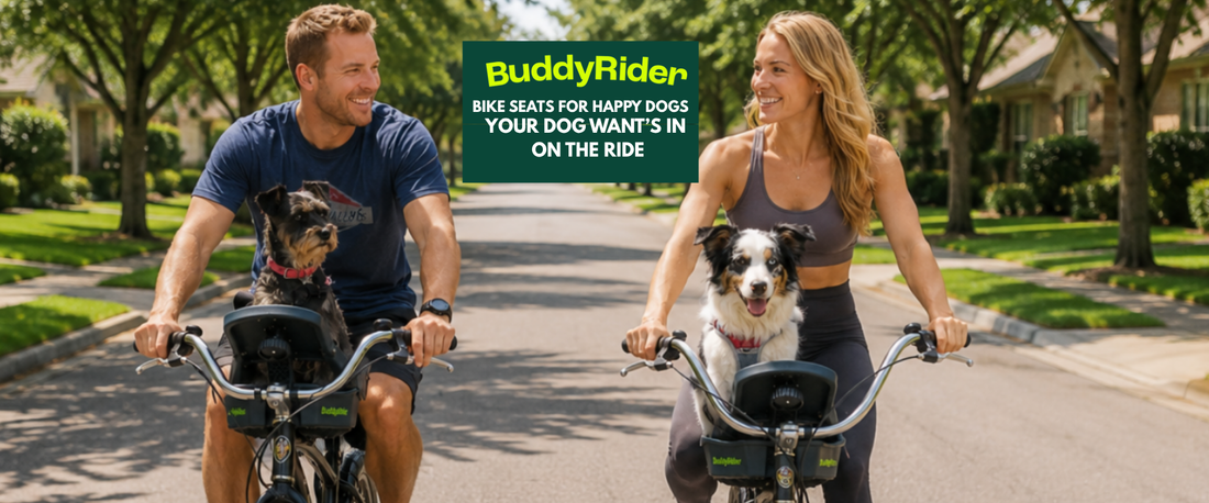 Buddyrider NZ  have the best summer yet
