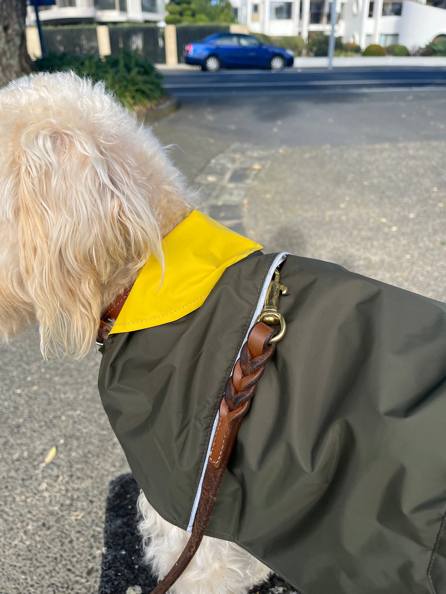Lightweight dog coat New Zealand