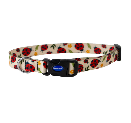Luxury dog collar NZ