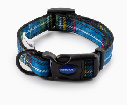 Blue tartan dog collar NZ