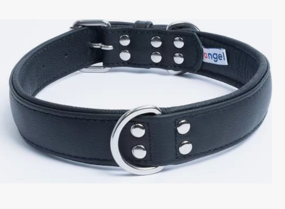 Large leather dog collar black New Zealand