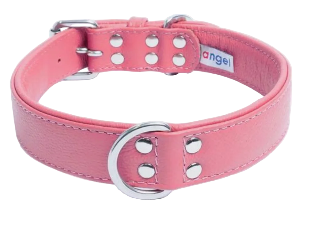 Leather pink dog collar padded for comfort. New Zealand - Australia