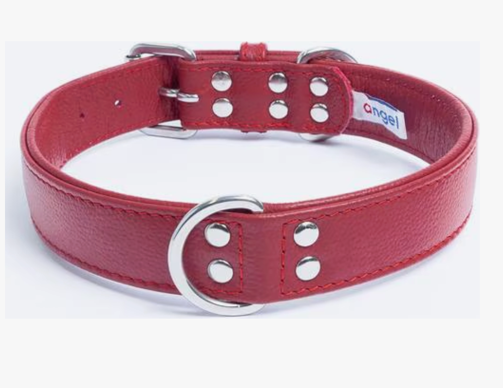 Leather dog collar red with central D Ring New Zealand