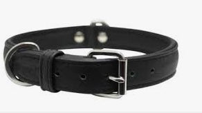 Leather dog collar black