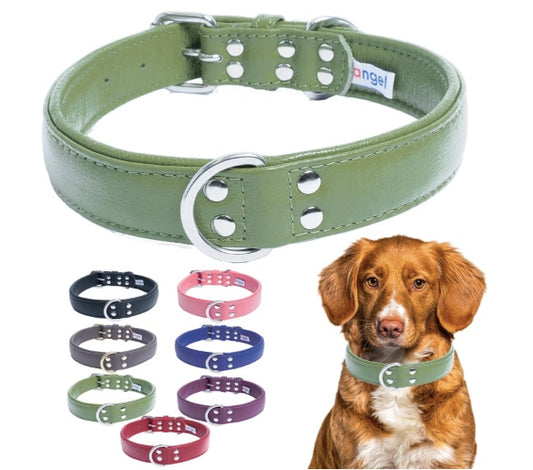 Leather dog collar for all breeds