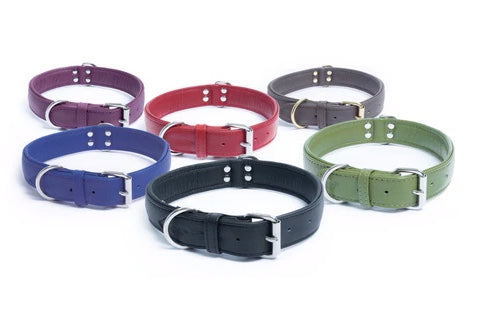 Angel leather dog collar