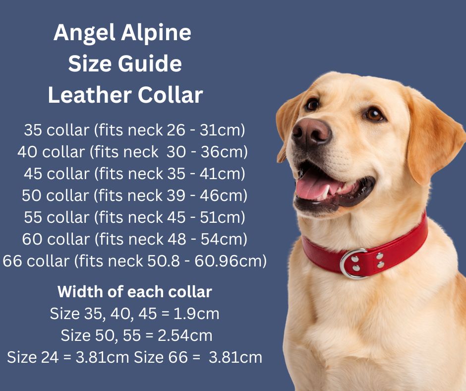 Angel Leather collar size chart NZ
