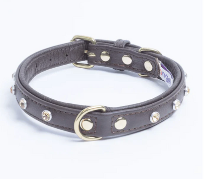Brown leather diamond dog collar NZ