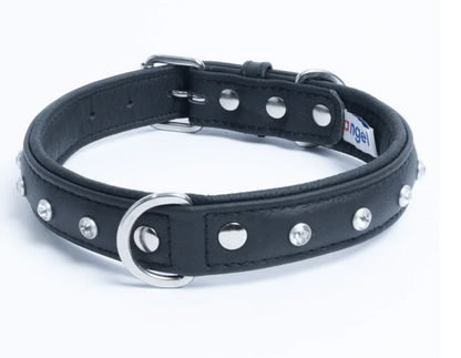 Black leather dog collar with diamonds NZ and Australia