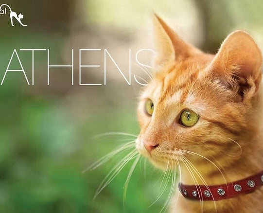 Cat Collar leather Red Australia