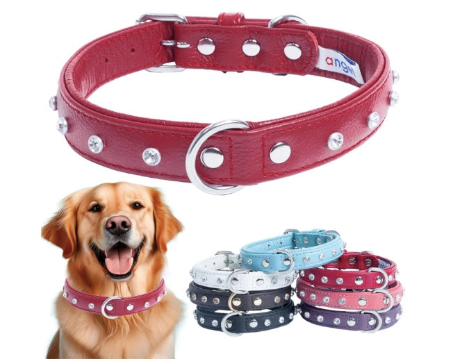 Beautifully hand crafted leather dog collars.
