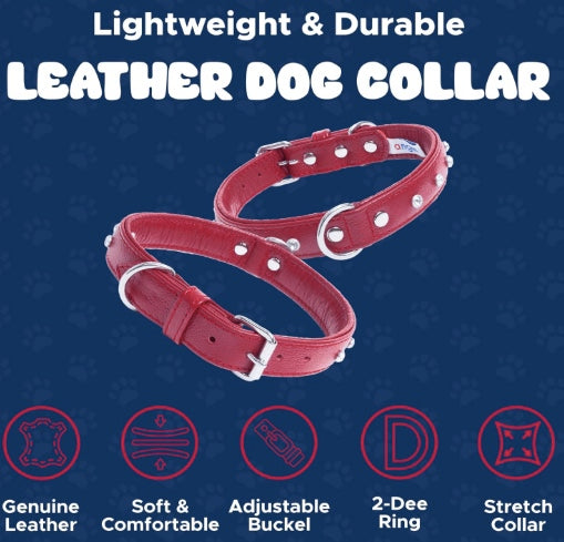 Leather dog collar with diamonds.