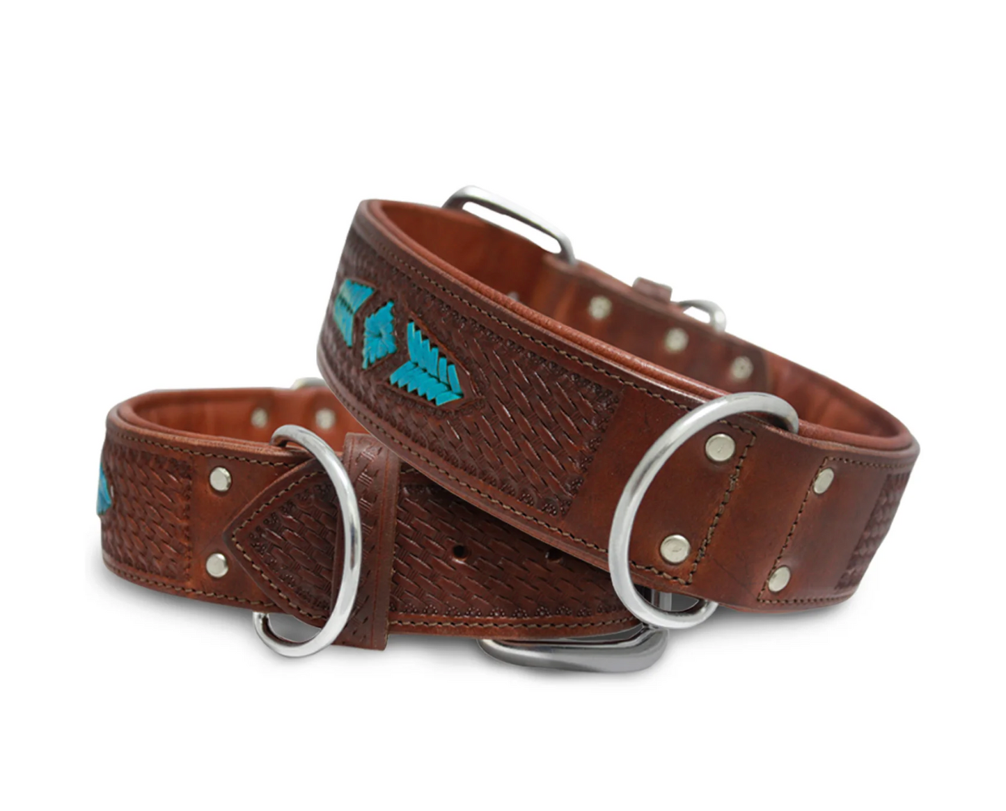 Sierra Leather dog collar New Zealand