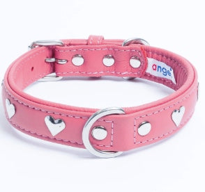 These collars look stunning on any dog.