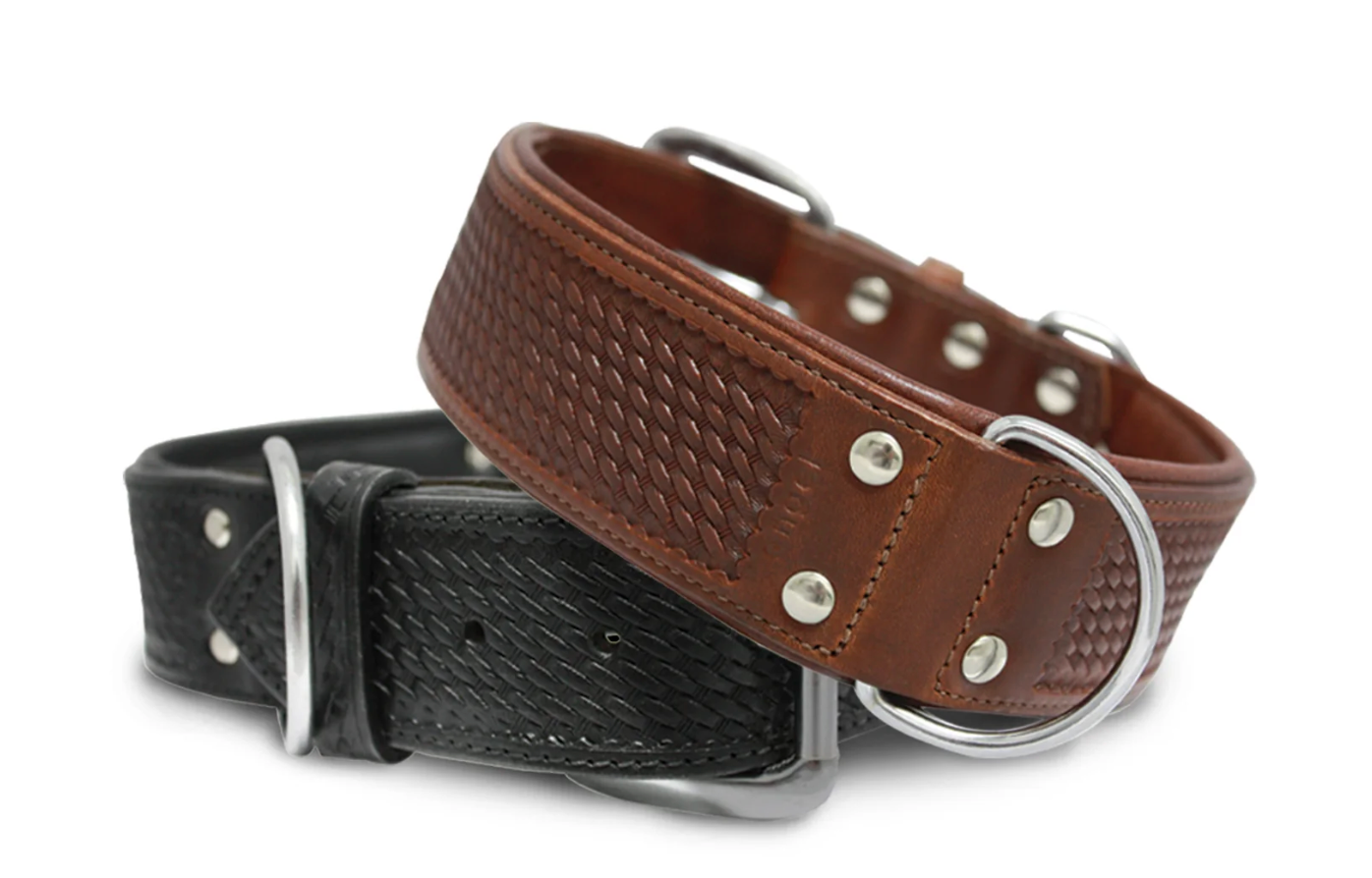 Leather Dog Collar Santa Fe