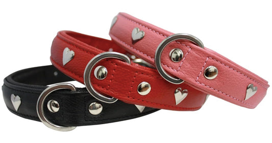 Leather dog collars Hearts New Zealand
