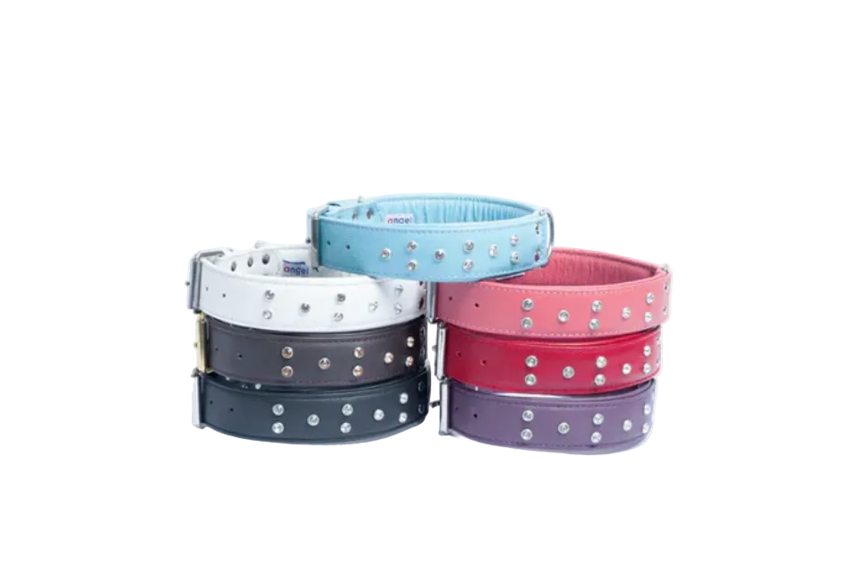Diamond leather dog collar New Zealand - Australia