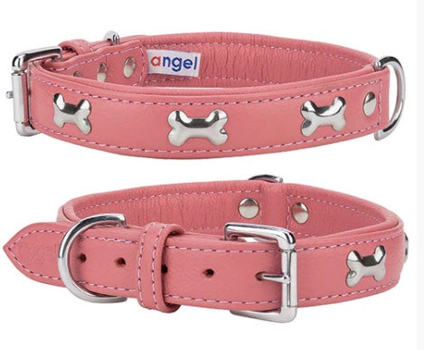 Dog Leather Dog Collar Bones New Zealand