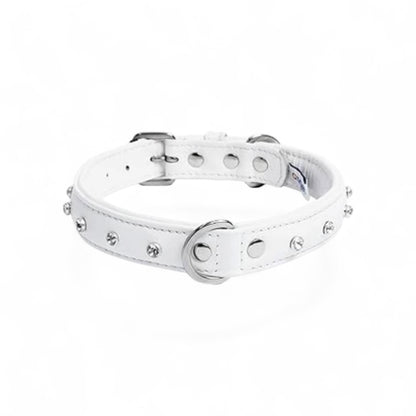 White leather diamond dog collar NZ