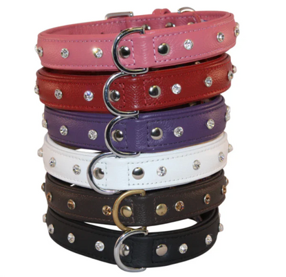 Leather dog collars diamonds NZ