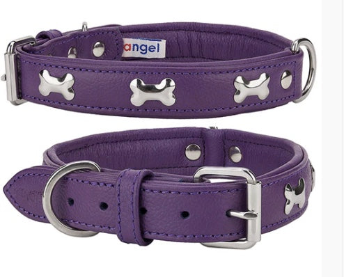 Angel Bones Leather Dog Collar Purple New Zealand