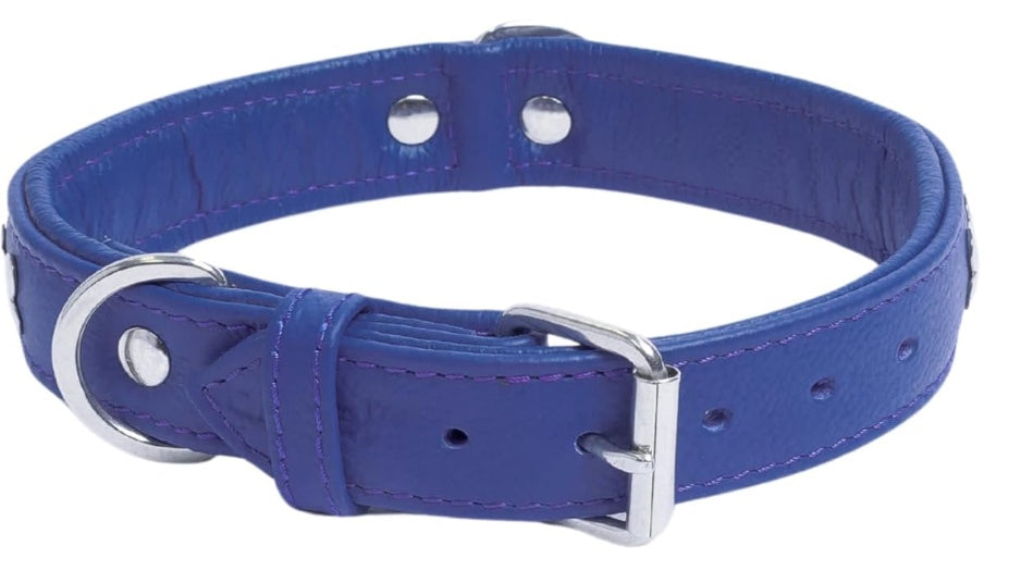 Colbolt Blue Leather Dog Collar New Zealand