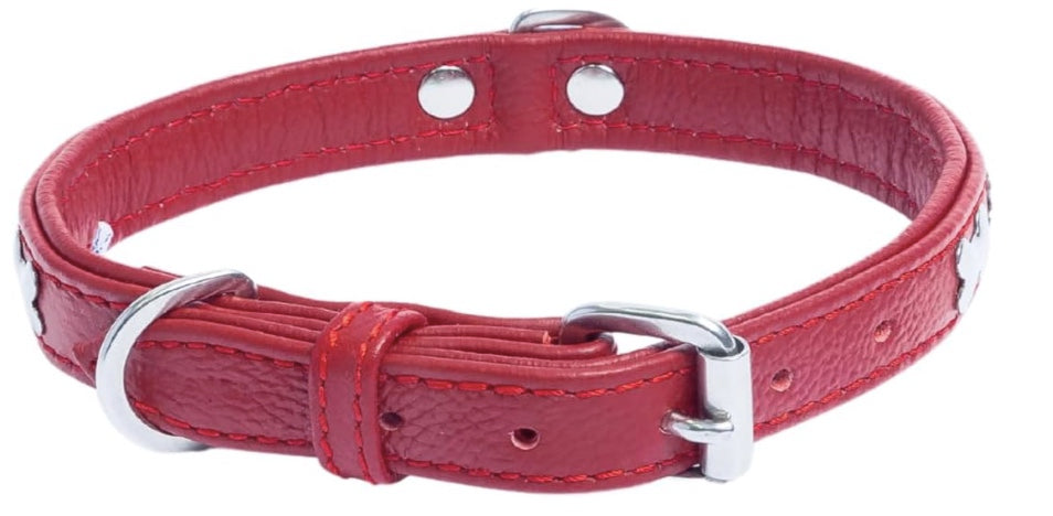 Red leather dog collar with silver hardware on a white background