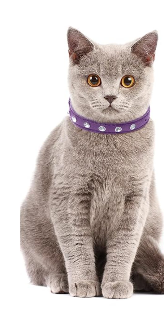 Purple Replica Diamonds Leather Cat Collar New Zealand