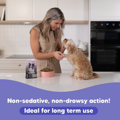 Natural anxiety relif for dogs NZ