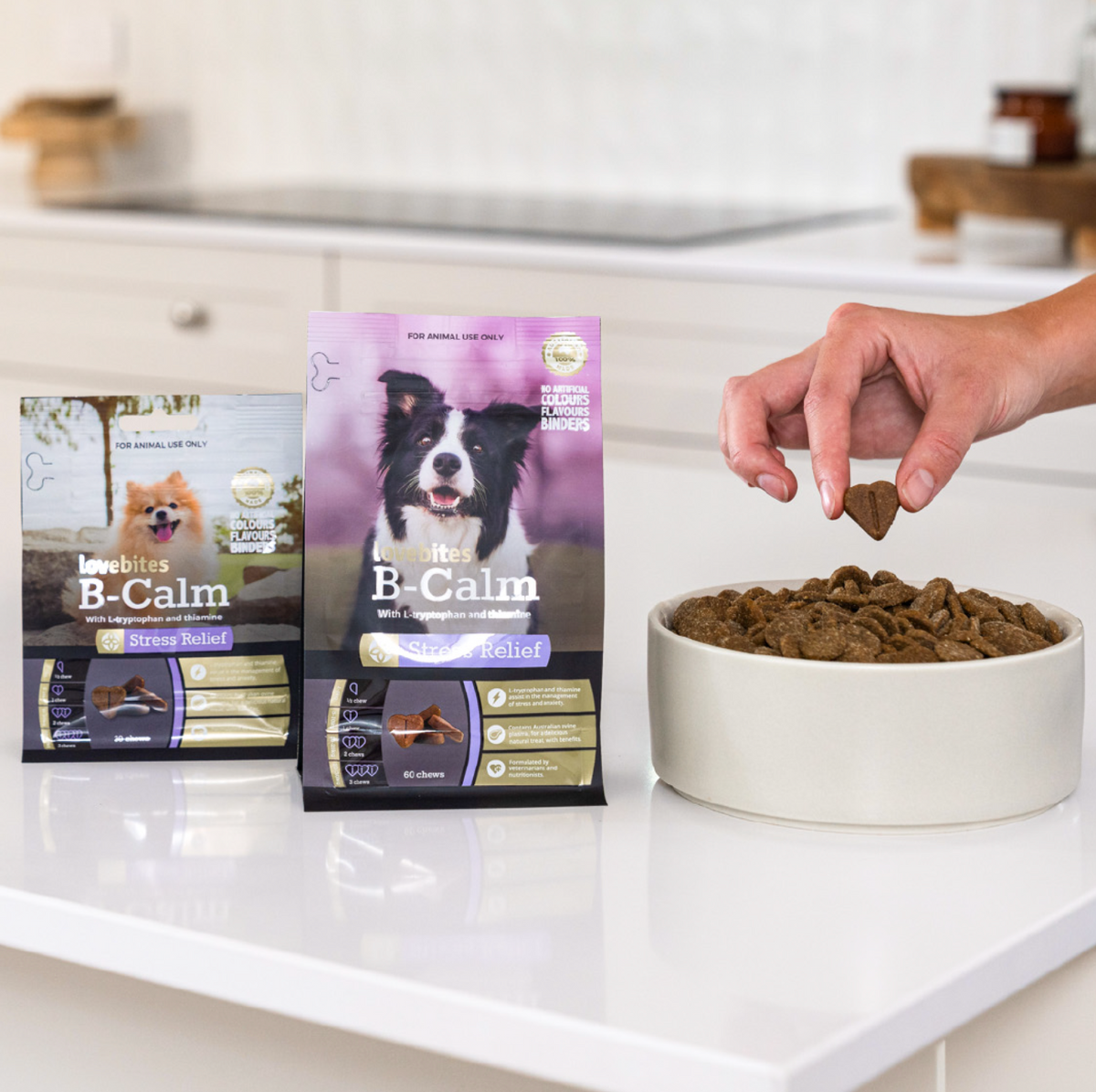 Ntural Stress Relief For Dogs NZ