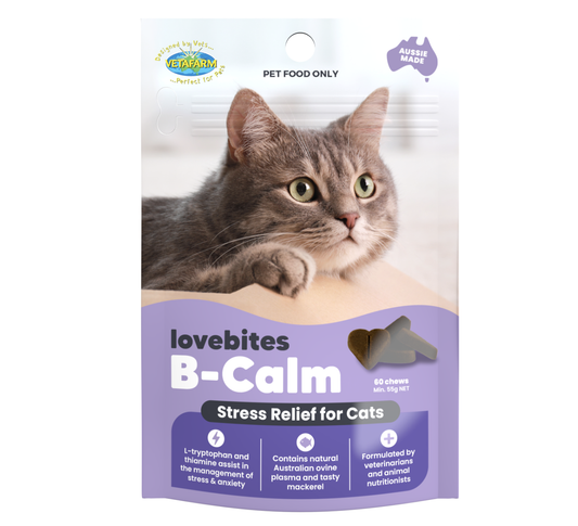 Stress relief for cats NZ