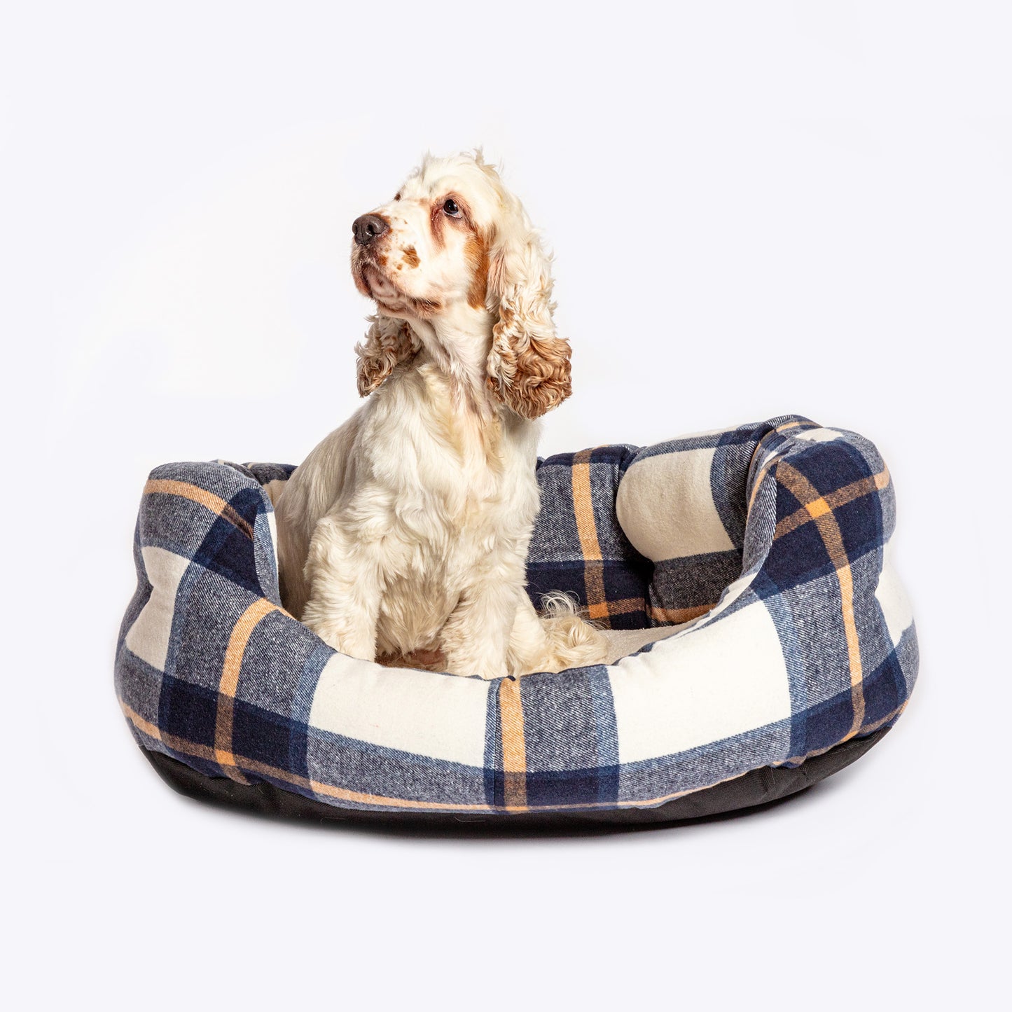 Bowmore dog bed NZ