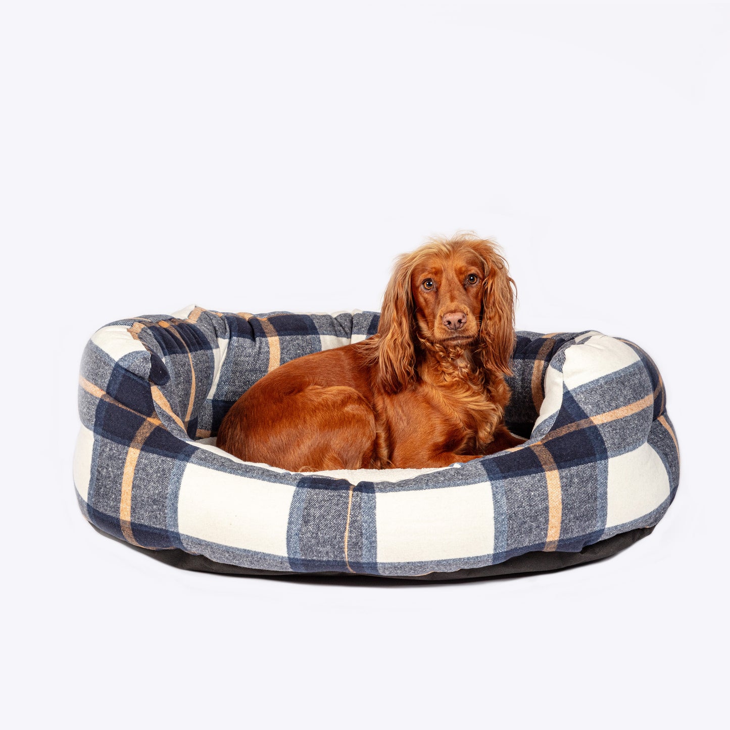 Large dog bed NZ