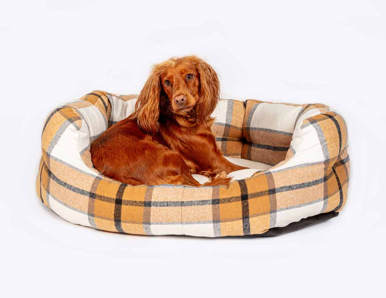 Dog beds NZ