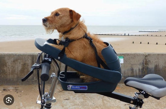 Buddyrider pet seat for bikes NZ