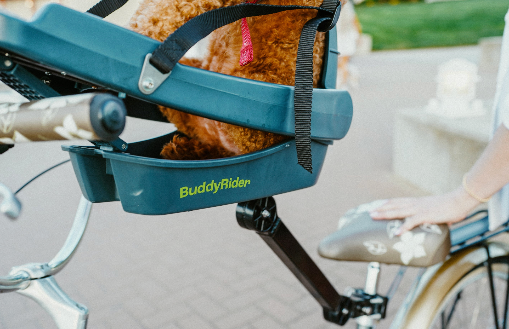 Flex Arm For Buddyrider Auckland
