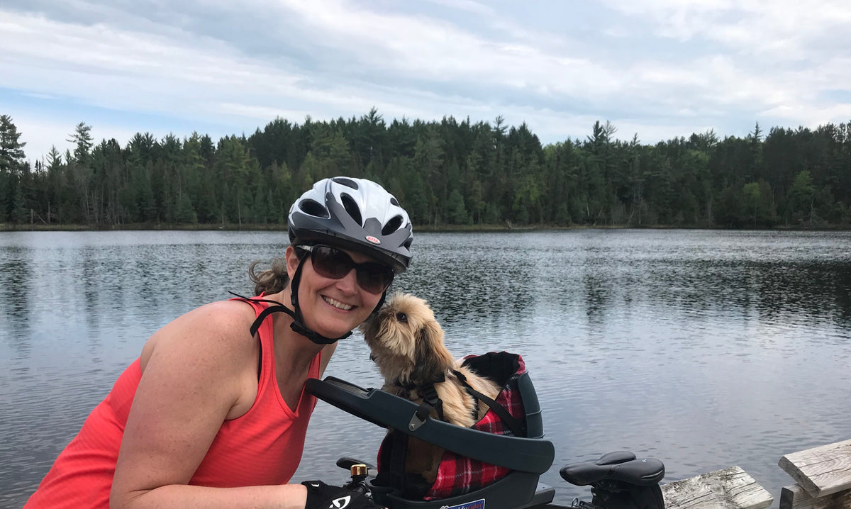 dog bike carrier NZ
