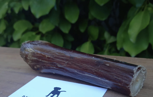 natural dog chew NZ